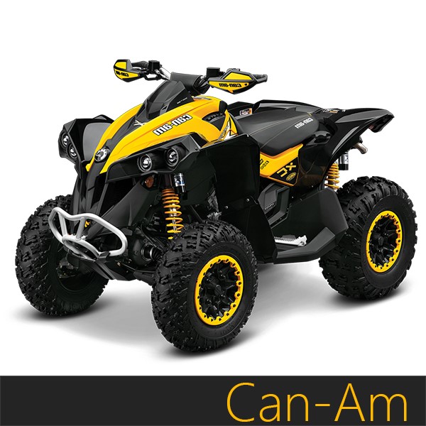 Je Pistons can-am renegade / outlander 400